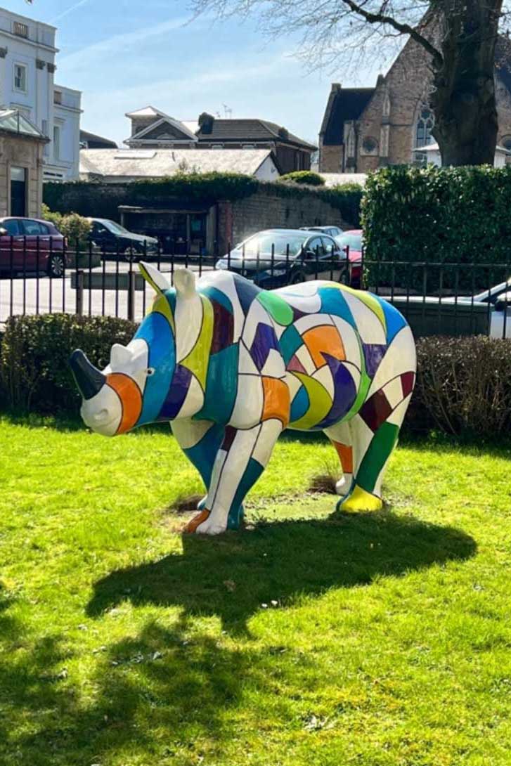 Bristol CBT Clinic Rhino